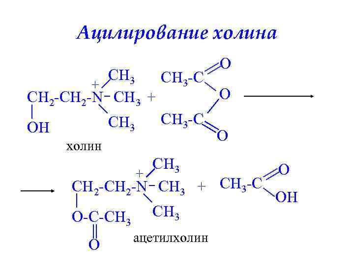 Ацилирование холина CH 3 -C + CH 2 -N CH 3 + CH 3