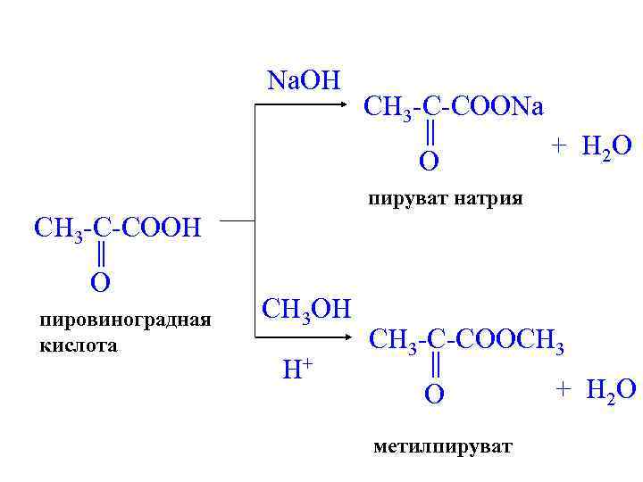 Na. OH CH 3 -C-COONa O + H 2 O пируват натрия CH 3