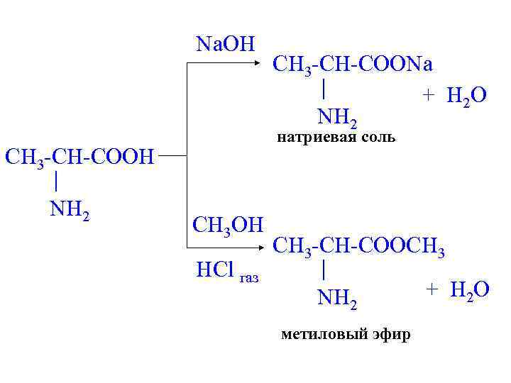 Na. OH натриевая соль CH 3 -CH-COOH NH 2 CH 3 -CH-COONa + H