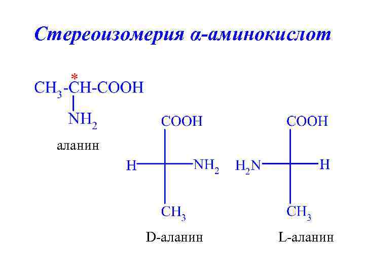 Аминокислоты пептиды белки презентация