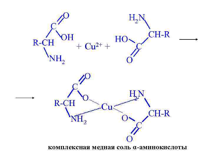 + Cu 2+ + O C R-CH O NH 2 H 2 N Cu