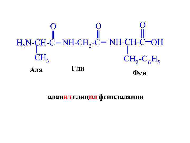 Ала Гли Фен аланил глицил фенилаланин 