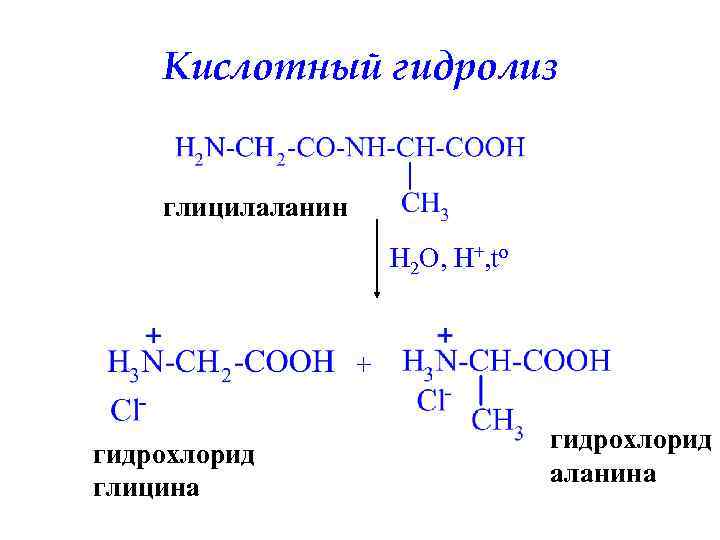 Кислотный гидролиз глицилаланин H 2 O, H+, to + гидрохлорид глицина гидрохлорид аланина 