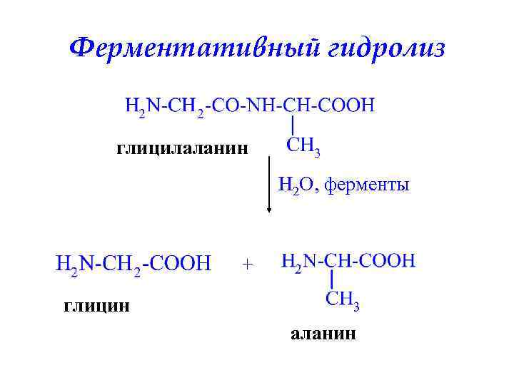 Ферментативный гидролиз глицилаланин H 2 O, ферменты + глицин аланин 