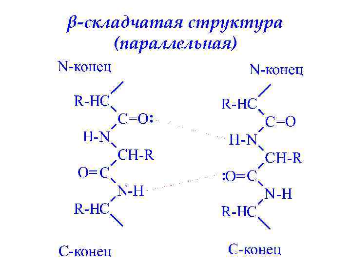 β-складчатая структура (параллельная) 