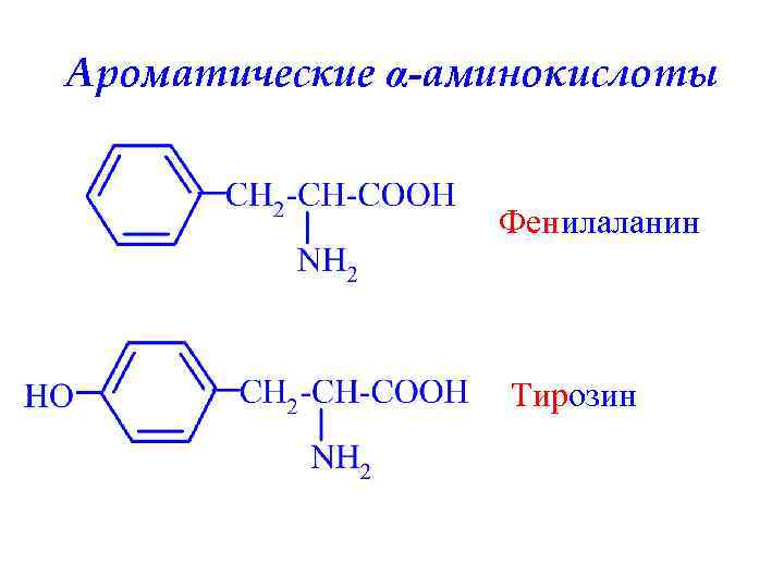 Амины аминокислоты белки презентация 10 класс