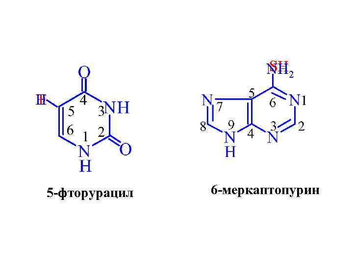 SH NH 2 H F 5 -фторурацил 6 -меркаптопурин 