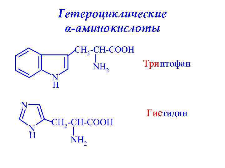 Гетероциклические α-аминокислоты Триптофан Гистидин 