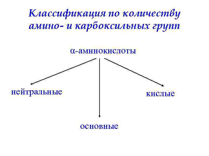 Классификация по количеству амино- и карбоксильных групп α-аминокислоты нейтральные кислые основные 