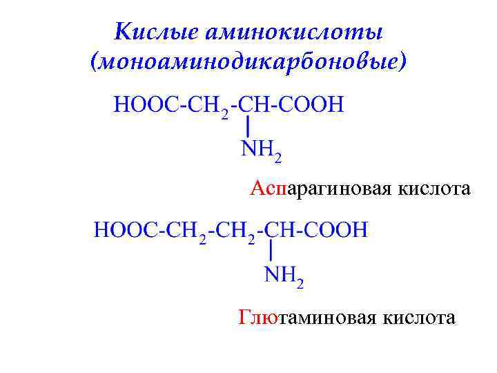 Кислые аминокислоты (моноаминодикарбоновые) Аспарагиновая кислота Глютаминовая кислота 