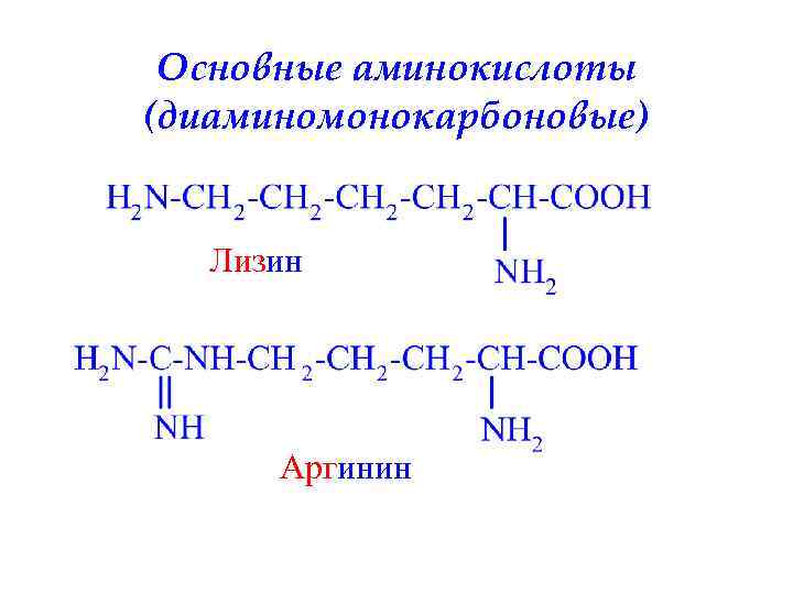 Основные аминокислоты (диаминомонокарбоновые) Лизин Аргинин 