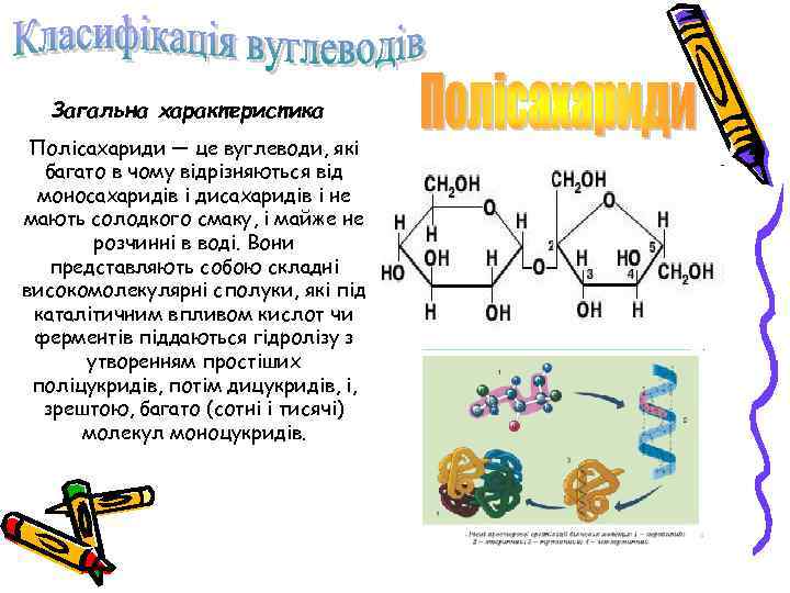 Загальна характеристика Полісахариди — це вуглеводи, які багато в чому відрізняються від моносахаридів і