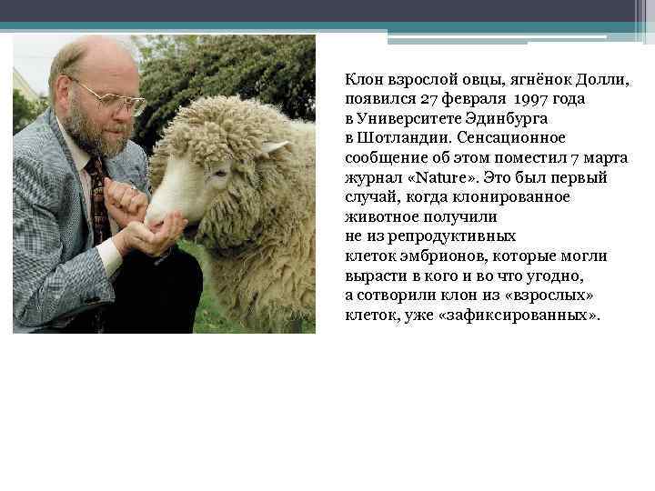 Клон взрослой овцы, ягнёнок Долли, появился 27 февраля 1997 года в Университете Эдинбурга в