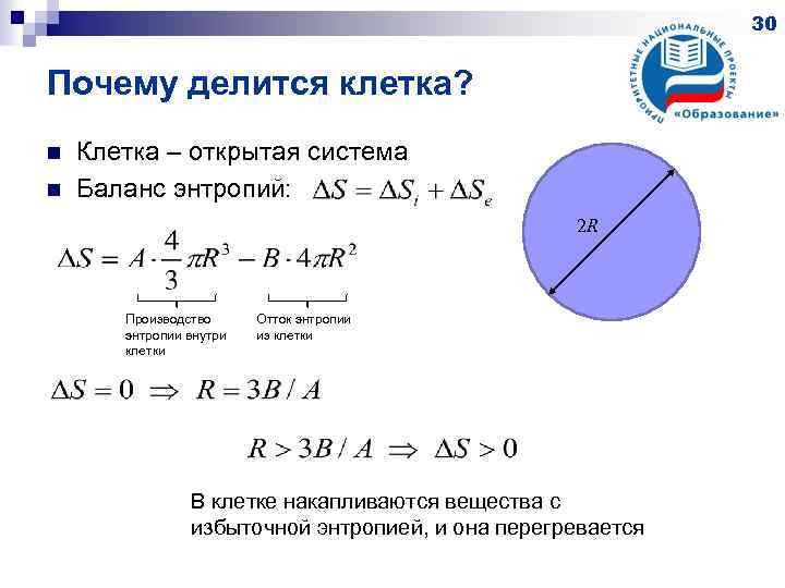 30 Почему делится клетка? n n Клетка – открытая система Баланс энтропий: 2 R