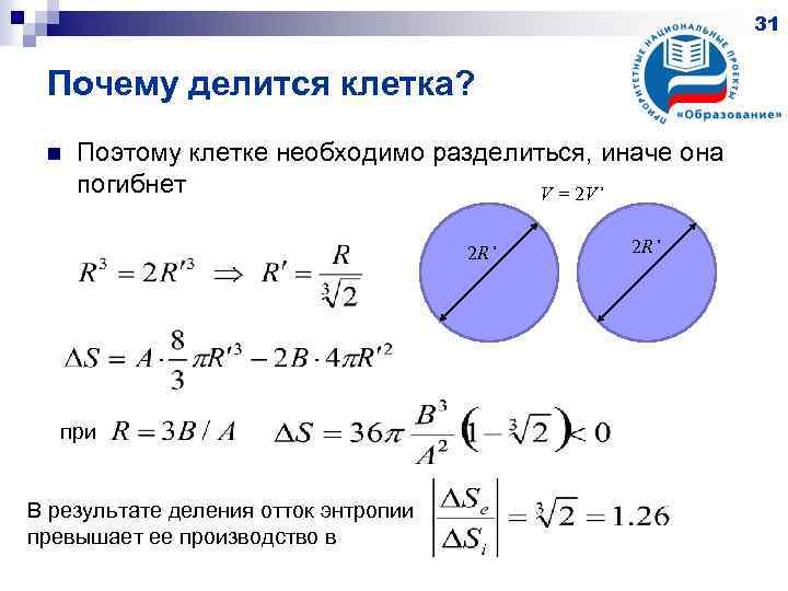 31 Почему делится клетка? n Поэтому клетке необходимо разделиться, иначе она погибнет V =