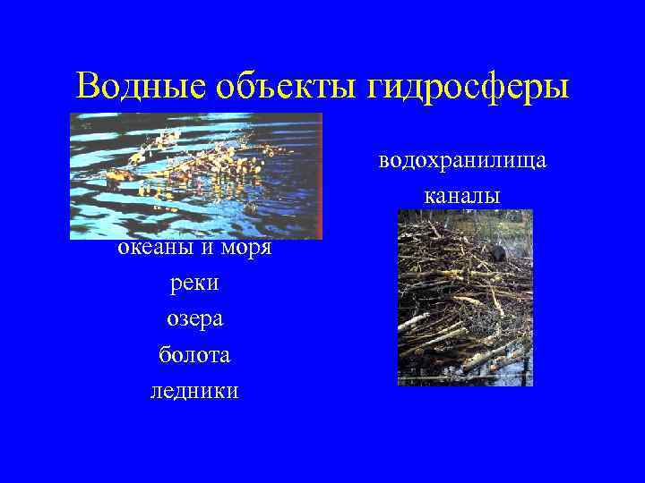 Водные объекты гидросферы водохранилища каналы океаны и моря реки озера болота ледники 
