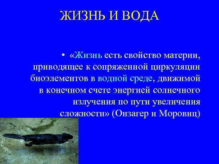 ЖИЗНЬ И ВОДА • «Жизнь есть свойство материи, приводящее к сопряженной циркуляции биоэлементов в