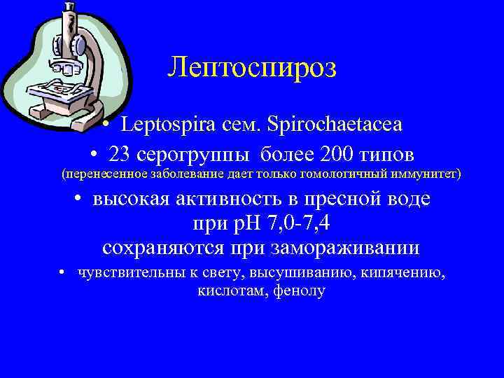 Лептоспироз • Leptospira сем. Spirochaetacea • 23 серогруппы более 200 типов (перенесенное заболевание дает