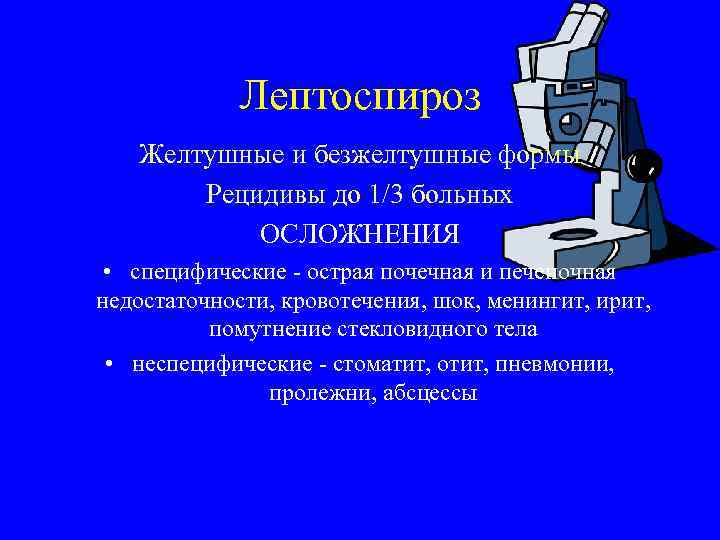 Лептоспироз Желтушные и безжелтушные формы Рецидивы до 1/3 больных ОСЛОЖНЕНИЯ • специфические - острая