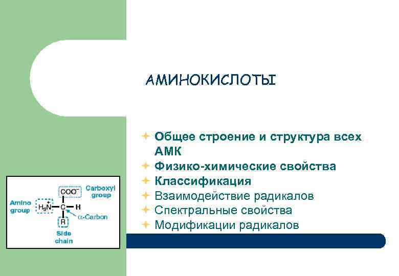 АМИНОКИСЛОТЫ Общее строение и структура всех АМК Физико-химические свойства Классификация Взаимодействие радикалов Спектральные свойства