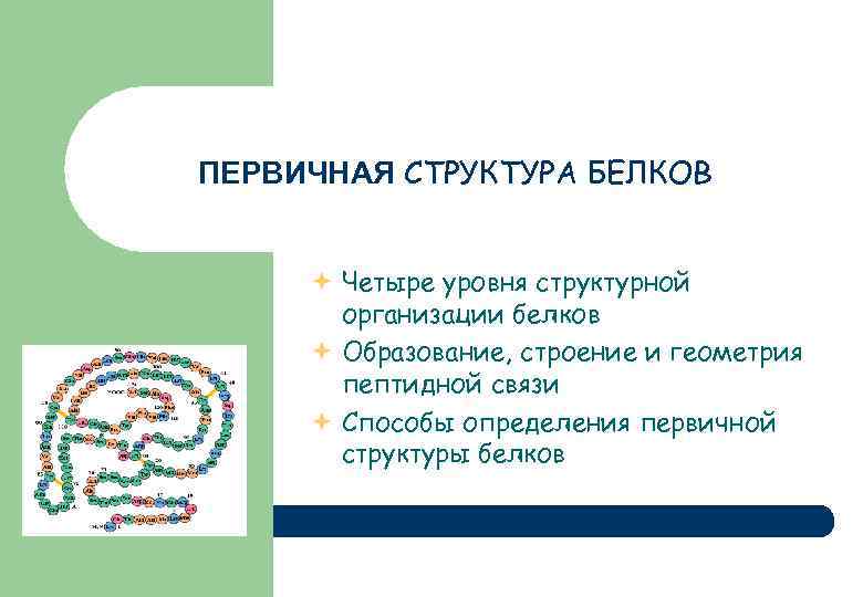 Методы определения первичной структуры белка. Структурная организация белков. Установление первичной структуры белка. Первичная структура белка примеры. 4 Уровня организации белка.