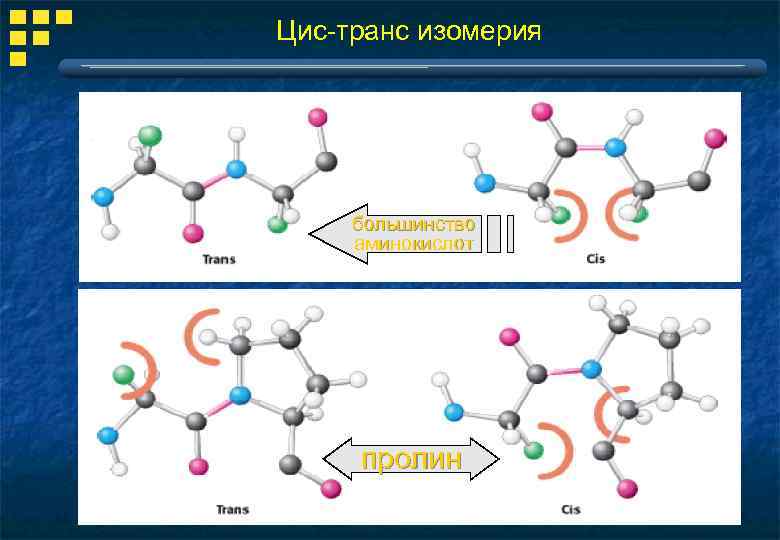 Цис-транс изомерия большинство аминокислот пролин 