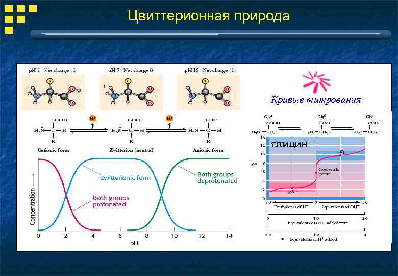 Цвиттерионная природа Кривые титрования глицин 
