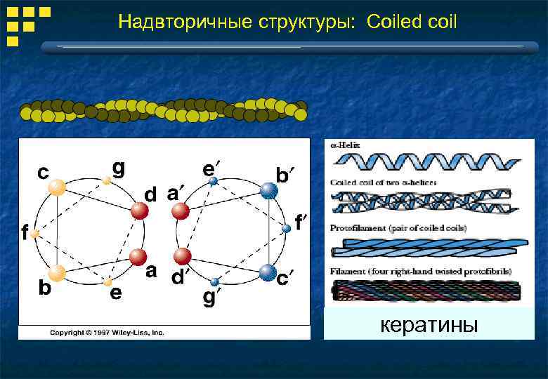 Надвторичные структуры: Coiled coil кератины 