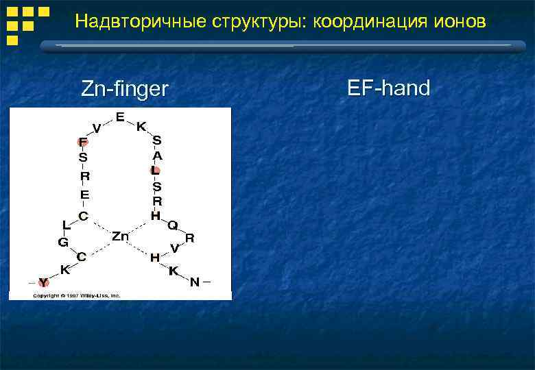 Надвторичные структуры: координация ионов Zn-finger EF-hand 