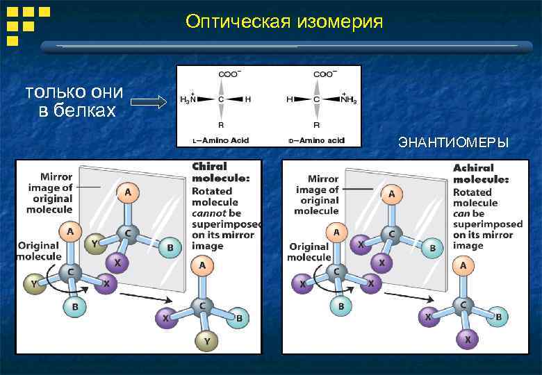 Оптическая изомерия только они в белках ЭНАНТИОМЕРЫ 