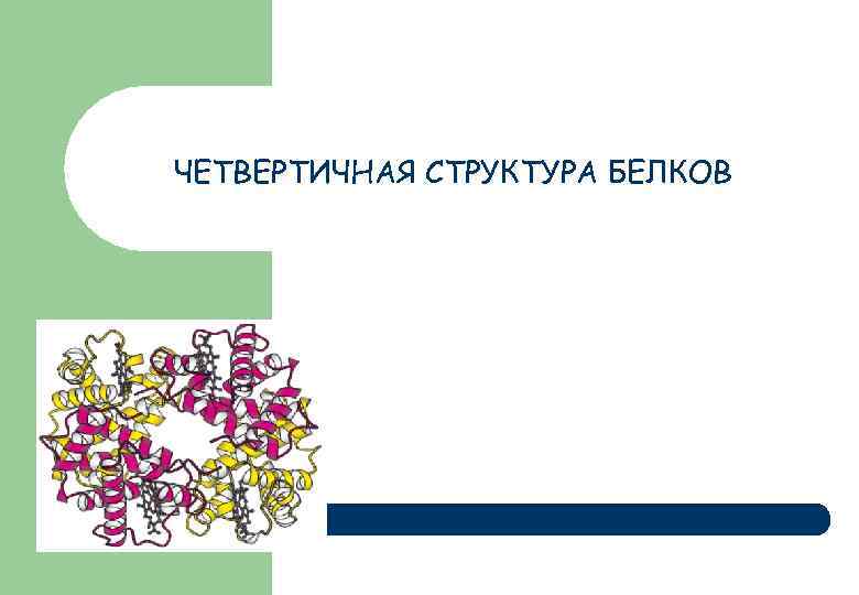 ЧЕТВЕРТИЧНАЯ СТРУКТУРА БЕЛКОВ 