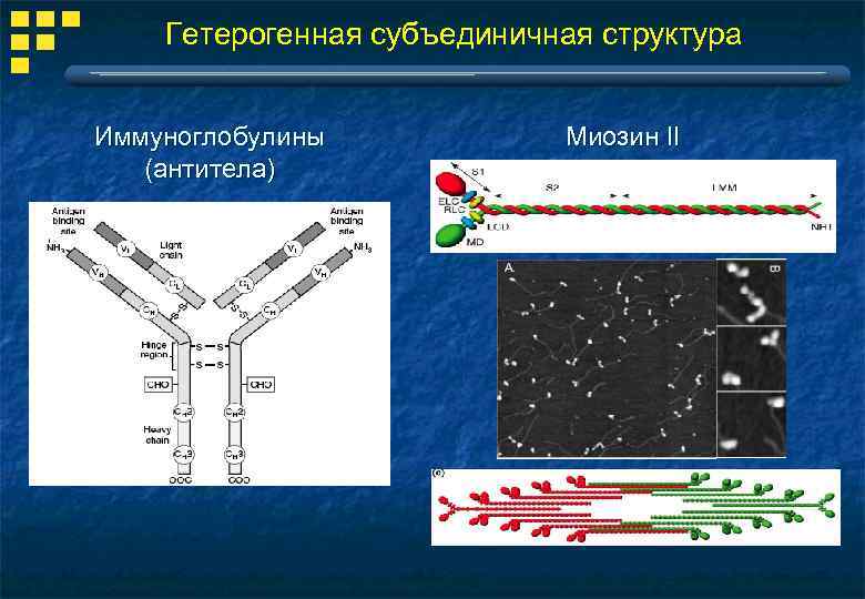 Схема образования mg3p2