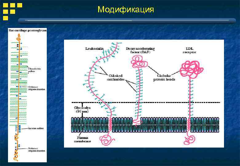 Модификация 