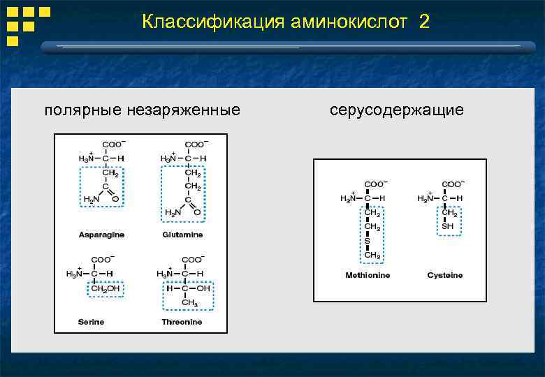 Технологическая карта аминокислоты