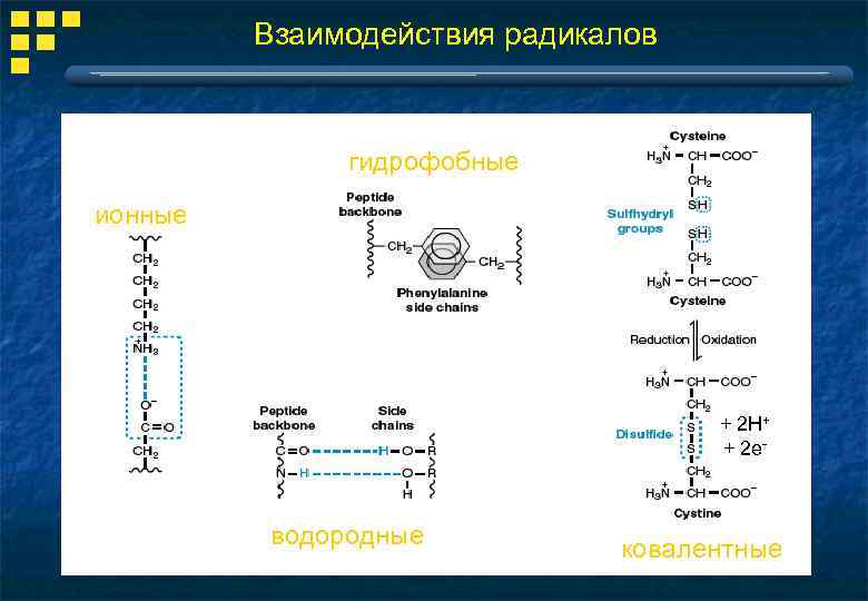 Схема насыщения амиодароном