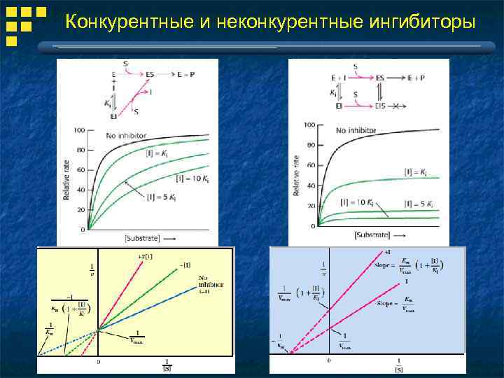 Неконкурентное ингибирование схема