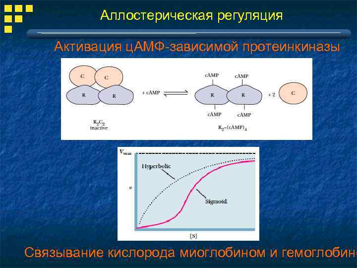 Аллостерическая регуляция активности ферментов