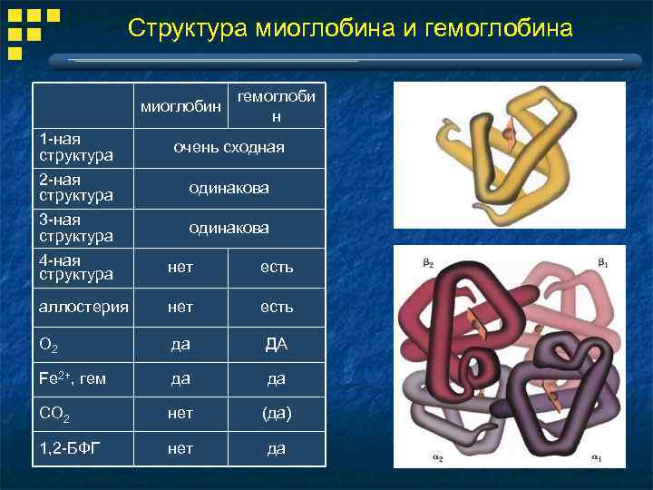 Одинаковая структура. Строение гемоглобина и миоглобина. Миоглобин и гемоглобин отличия. Структура гемоглобина и миоглобина. Гемоглобин и миоглобин сравнение таблица.