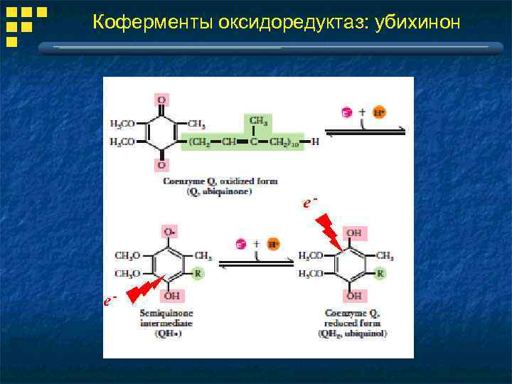 Коферменты оксидоредуктаз: убихинон e- e- 