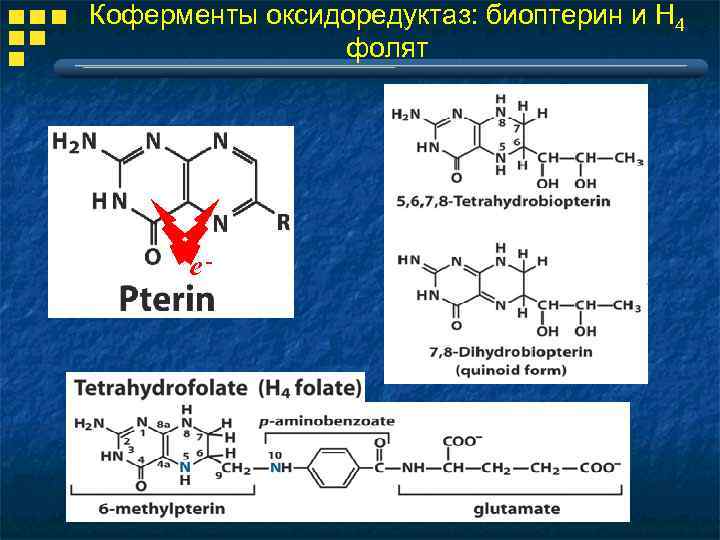 Коферменты оксидоредуктаз: биоптерин и Н 4 фолят e- 