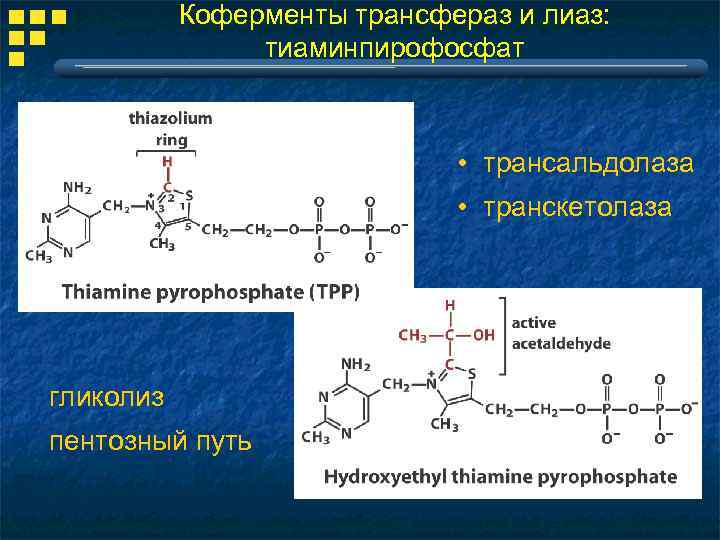 Гамма глютамин трансфераза