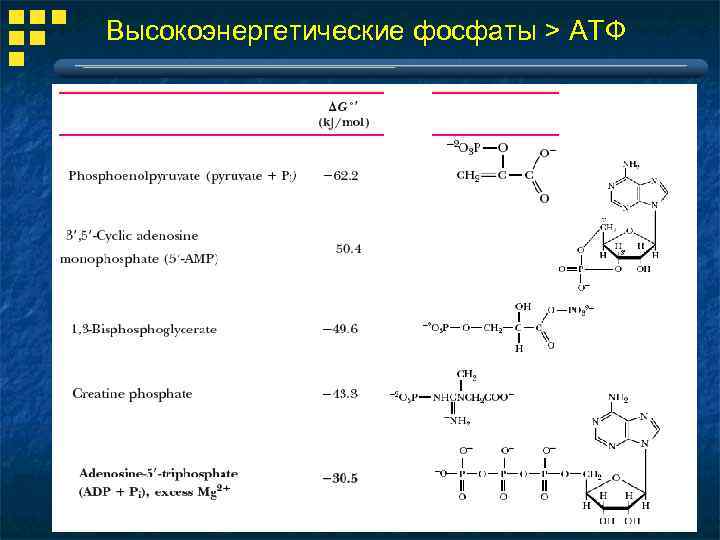 Соединение атф. Высокоэнергетические фосфаты биохимия. Высокоэнернеиические фосфат. Высокоэнергетические соединения биохимия. АТФ И другие высокоэнергетические соединения.