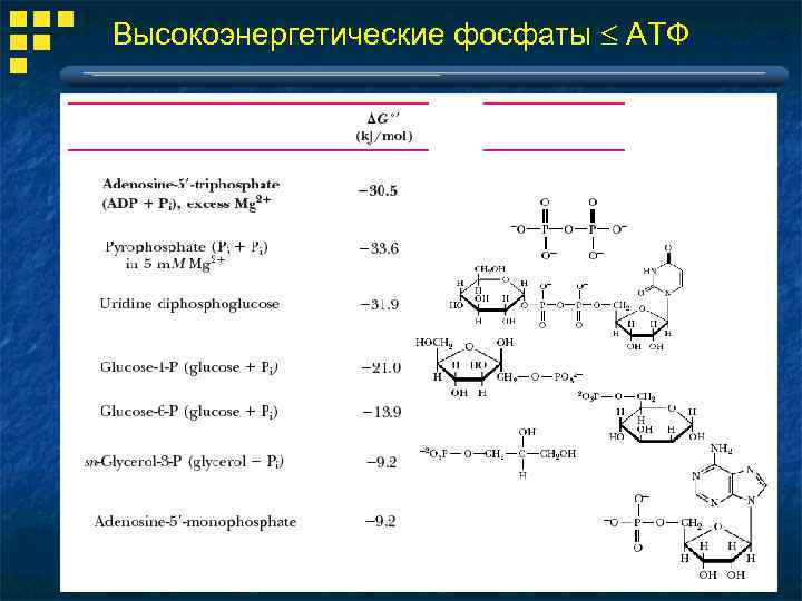 Высокоэнергетические фосфаты АТФ Соединение Структура 