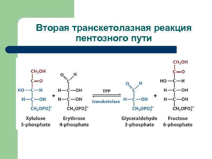 Какой биологический смысл в реакции переактивации ответ. Транскетолазные реакции пентозофосфатного пути. Транс кетолазная реакция. Транскетолаза кофермент. Транскетолазная реакция ПФЦ.