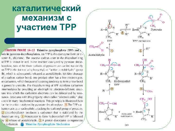 Какой биологический смысл в реакции переактивации ответ. Каталитический механизм это. Механизм катализатора. Механизм реакций каткрекинга. Механизм каталитического действия.