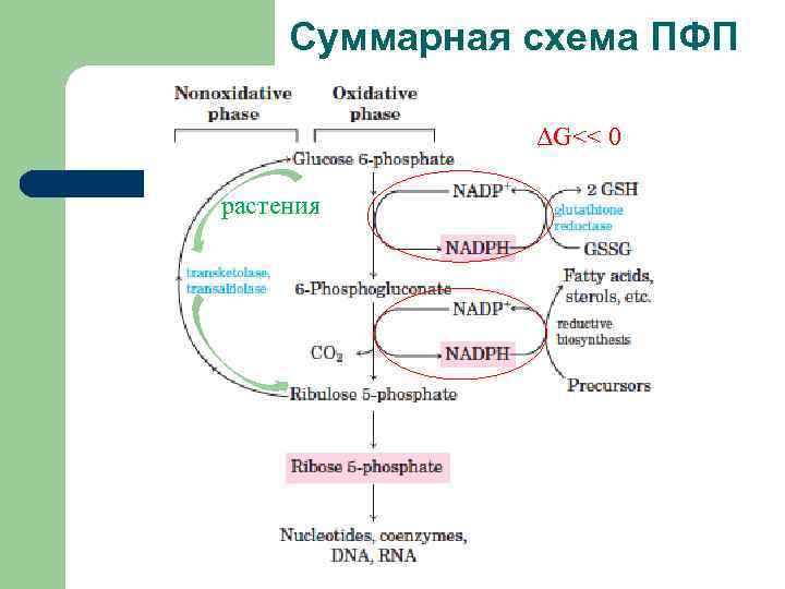 Пфп с схема