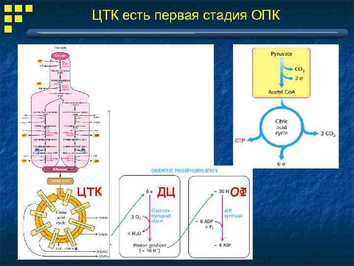 ЦТК есть первая стадия ОПК ЦТК ДЦ ОФ 