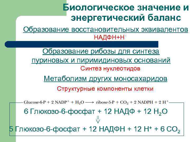 Биологическое значение и энергетический баланс Образование восстановительных эквивалентов НАДФН+Н+ Образование рибозы для синтеза пуриновых