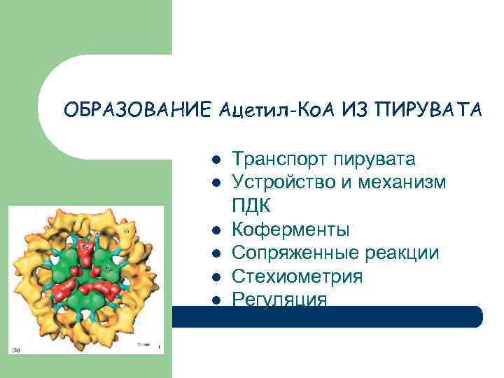 ОБРАЗОВАНИЕ Ацетил-Ко. А ИЗ ПИРУВАТА l l l Транспорт пирувата Устройство и механизм ПДК