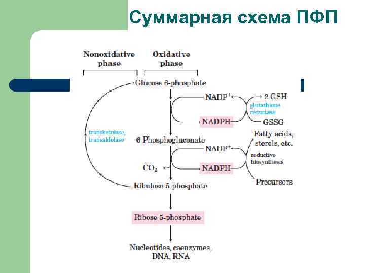 Суммарная схема ПФП 